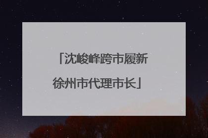 沈峻峰跨市履新徐州市代理市长