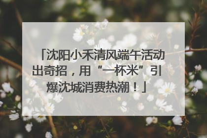沈阳小禾清风端午活动出奇招，用“一杯米”引爆沈城消费热潮！