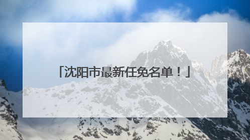 沈阳市最新任免名单！