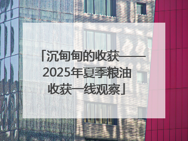 沉甸甸的收获——2025年夏季粮油收获一线观察
