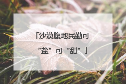 沙漠腹地民勤可“盐”可“甜”