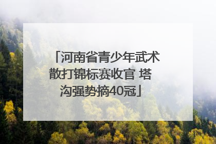 河南省青少年武术散打锦标赛收官 塔沟强势摘40冠