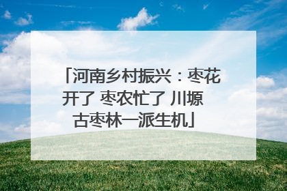 河南乡村振兴：枣花开了 枣农忙了 川塬古枣林一派生机