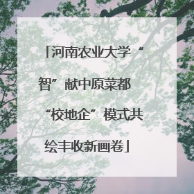 河南农业大学“智”献中原菜都 “校地企”模式共绘丰收新画卷