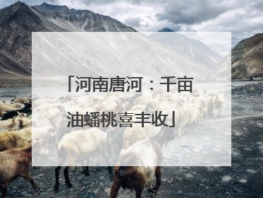 河南唐河：千亩油蟠桃喜丰收