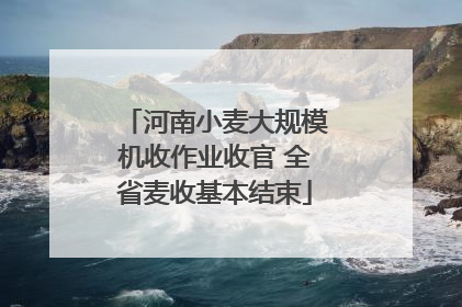 河南小麦大规模机收作业收官 全省麦收基本结束