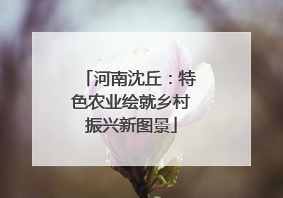 河南沈丘：特色农业绘就乡村振兴新图景