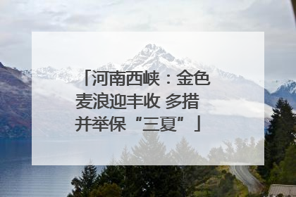 河南西峡：金色麦浪迎丰收 多措并举保“三夏”