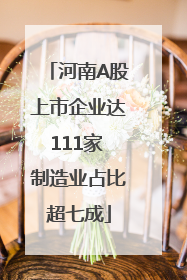 河南A股上市企业达111家 制造业占比超七成