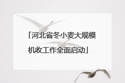 河北省冬小麦大规模机收工作全面启动