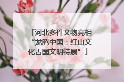 河北多件文物亮相“龙腾中国：红山文化古国文明特展”
