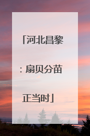 河北昌黎：扇贝分苗正当时