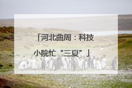 河北曲周：科技小院忙“三夏”