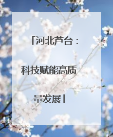 河北芦台：科技赋能高质量发展