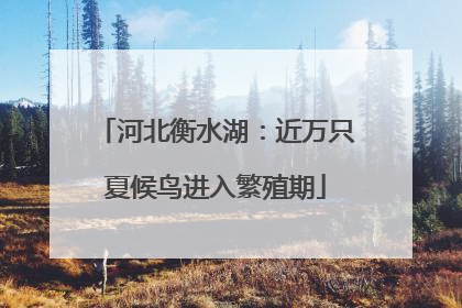 河北衡水湖：近万只夏候鸟进入繁殖期