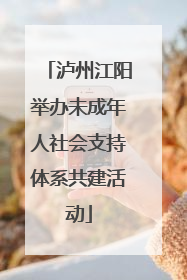 泸州江阳举办未成年人社会支持体系共建活动