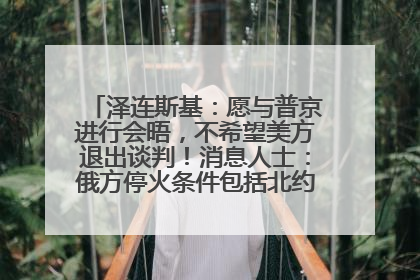 泽连斯基：愿与普京进行会晤，不希望美方退出谈判！消息人士：俄方停火条件包括北约“书面”保证不东扩
