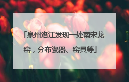 泉州洛江发现一处南宋龙窑，分布瓷器、窑具等