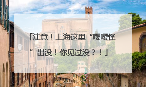 注意！上海这里“嘤嘤怪”出没！你见过没？！