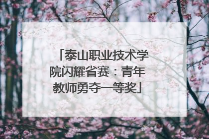 泰山职业技术学院闪耀省赛：青年教师勇夺一等奖