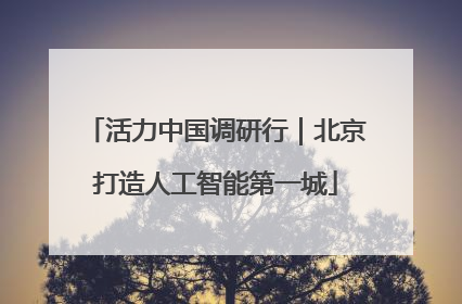 活力中国调研行｜北京打造人工智能第一城