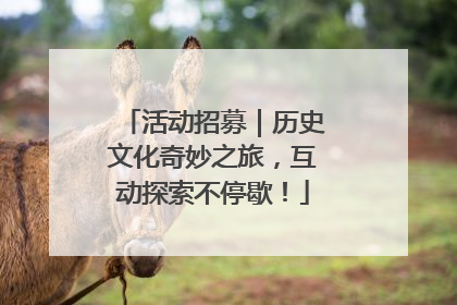 活动招募｜历史文化奇妙之旅，互动探索不停歇！
