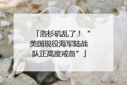 洛杉矶乱了！“美国现役海军陆战队正高度戒备”