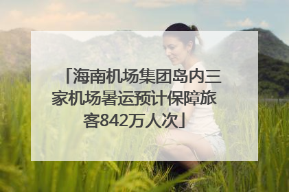 海南机场集团岛内三家机场暑运预计保障旅客842万人次
