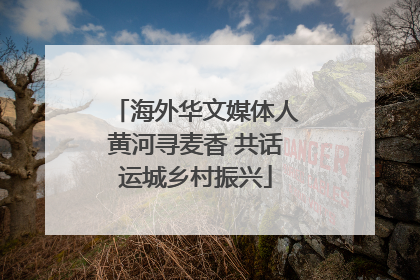 海外华文媒体人黄河寻麦香 共话运城乡村振兴