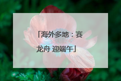 海外多地：赛龙舟 迎端午