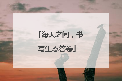 海天之间，书写生态答卷