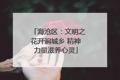 海沧区：文明之花开遍城乡 精神力量滋养心灵