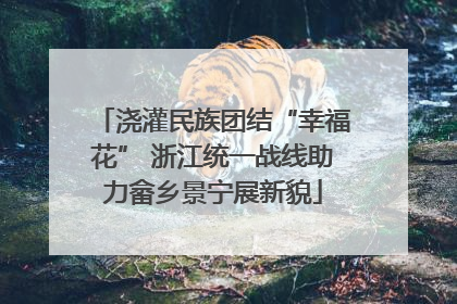 浇灌民族团结“幸福花” 浙江统一战线助力畲乡景宁展新貌