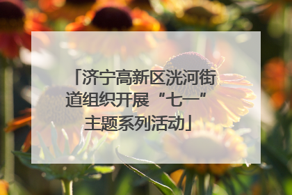 济宁高新区洸河街道组织开展“七一” 主题系列活动