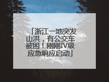 浙江一地突发山洪，有公交车被困！刚刚Ⅳ级应急响应启动