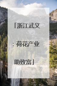 浙江武义：荷花产业助致富