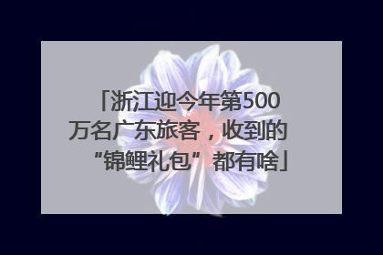 浙江迎今年第500万名广东旅客，收到的“锦鲤礼包”都有啥