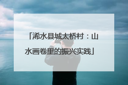 浠水县城太桥村：山水画卷里的振兴实践