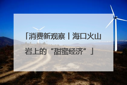 消费新观察丨海口火山岩上的“甜蜜经济”
