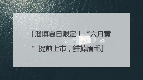 淄博夏日限定！“六月黄”提前上市，鲜掉眉毛