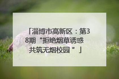 淄博市高新区：第38期“拒绝烟草诱惑 共筑无烟校园 ”