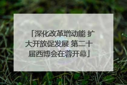 深化改革增动能 扩大开放促发展 第二十届西博会在蓉开幕