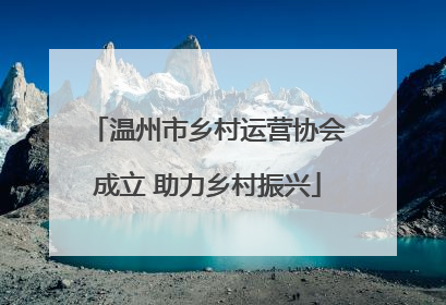 温州市乡村运营协会成立 助力乡村振兴