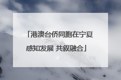 港澳台侨同胞在宁夏感知发展 共叙融合