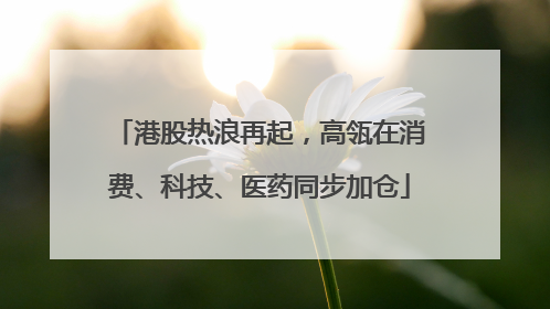 港股热浪再起，高瓴在消费、科技、医药同步加仓