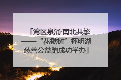 湾区泉涌·南北共擎——“花楸树”杯明湖慈善公益跑成功举办