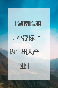 湖南临湘：小浮标“钓”出大产业