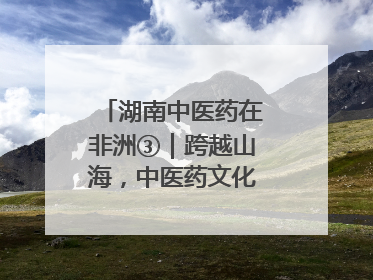 湖南中医药在非洲③｜跨越山海，中医药文化浸润非洲