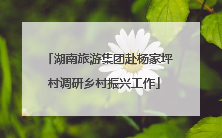湖南旅游集团赴杨家坪村调研乡村振兴工作