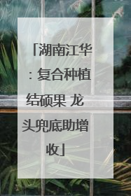 湖南江华：复合种植结硕果 龙头兜底助增收